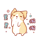 Corgi Dog Kaka - Daily Life vol.2（個別スタンプ：5）