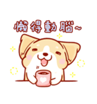 Corgi Dog Kaka - Daily Life vol.2（個別スタンプ：7）