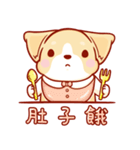 Corgi Dog Kaka - Daily Life vol.2（個別スタンプ：9）