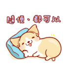 Corgi Dog Kaka - Daily Life vol.2（個別スタンプ：11）