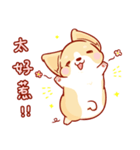 Corgi Dog Kaka - Daily Life vol.2（個別スタンプ：14）