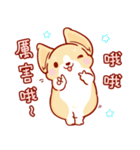 Corgi Dog Kaka - Daily Life vol.2（個別スタンプ：16）