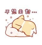 Corgi Dog Kaka - Daily Life vol.2（個別スタンプ：20）