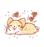 Corgi Dog Kaka - Daily Life vol.2（個別スタンプ：22）