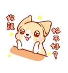 Corgi Dog Kaka - Daily Life vol.2（個別スタンプ：27）