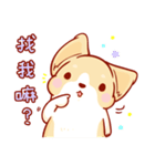 Corgi Dog Kaka - Daily Life vol.2（個別スタンプ：34）