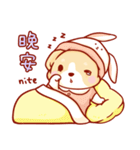 Corgi Dog Kaka - Daily Life vol.2（個別スタンプ：38）