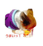 Daily routine of a dog（個別スタンプ：4）