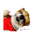 Daily routine of a dog（個別スタンプ：9）