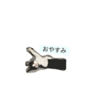 うちのにゃんこ！（個別スタンプ：1）
