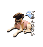 nanocolocre（個別スタンプ：2）