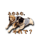 nanocolocre（個別スタンプ：3）