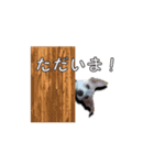 nanocolocre（個別スタンプ：4）