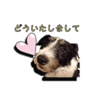 nanocolocre（個別スタンプ：5）