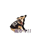 nanocolocre（個別スタンプ：7）