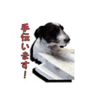 nanocolocre（個別スタンプ：9）