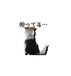 nanocolocre（個別スタンプ：10）