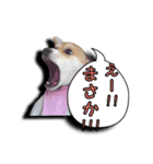 nanocolocre（個別スタンプ：12）