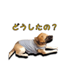 nanocolocre（個別スタンプ：14）