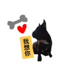 Blessing b（個別スタンプ：7）
