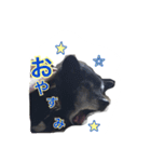 ハルちゃんのスタンプ（個別スタンプ：4）