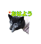 ハルちゃんのスタンプ（個別スタンプ：10）