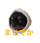 はらぺこにくきゅうスタンプ（個別スタンプ：4）