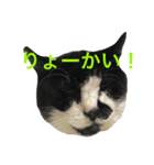 はらぺこにくきゅうスタンプ（個別スタンプ：6）