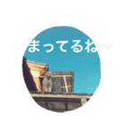 はらぺこにくきゅうスタンプ（個別スタンプ：16）