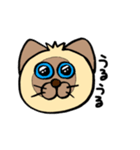 シャム猫シャミーと愉快な仲間達（個別スタンプ：8）