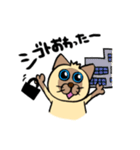 シャム猫シャミーと愉快な仲間達（個別スタンプ：17）