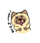 シャム猫シャミーと愉快な仲間達（個別スタンプ：19）