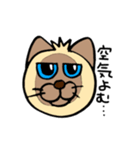 シャム猫シャミーと愉快な仲間達（個別スタンプ：30）