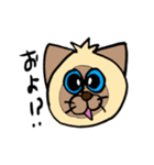 シャム猫シャミーと愉快な仲間達（個別スタンプ：31）