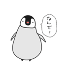関西弁でいろいろ言うペンギン（個別スタンプ：23）