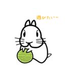 かわいいウサギのスタンプ 日常編（個別スタンプ：24）