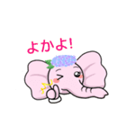 ぞうさん県（個別スタンプ：17）