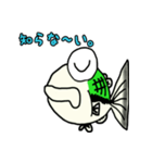 毎日ブラックバス（個別スタンプ：6）