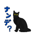 階段男と黒猫（個別スタンプ：12）