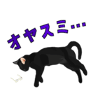 階段男と黒猫（個別スタンプ：13）