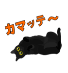 階段男と黒猫（個別スタンプ：14）