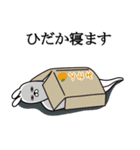 ひだかが使う面白名前スタンプ（個別スタンプ：29）