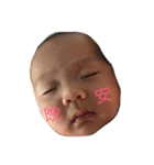 Phoebe Lin（個別スタンプ：1）