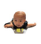 Phoebe Lin（個別スタンプ：5）