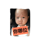 Phoebe Lin（個別スタンプ：8）