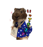 てるさんちのモルモットとプレちゃんず（個別スタンプ：11）