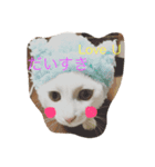 まめめこ（個別スタンプ：8）