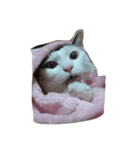 Muminn .（個別スタンプ：1）