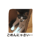 ハン君の気持ち（個別スタンプ：4）