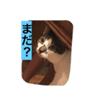 ハン君の気持ち（個別スタンプ：6）